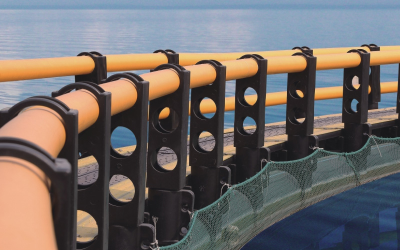 Netting System