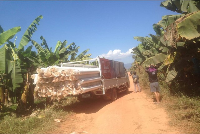 Hengxin Banana Plantation