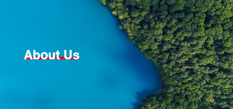 About Us